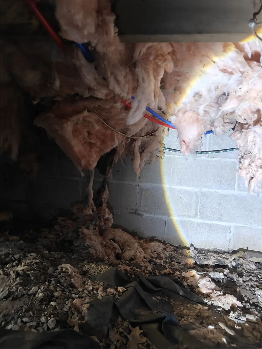 crawl-space-5